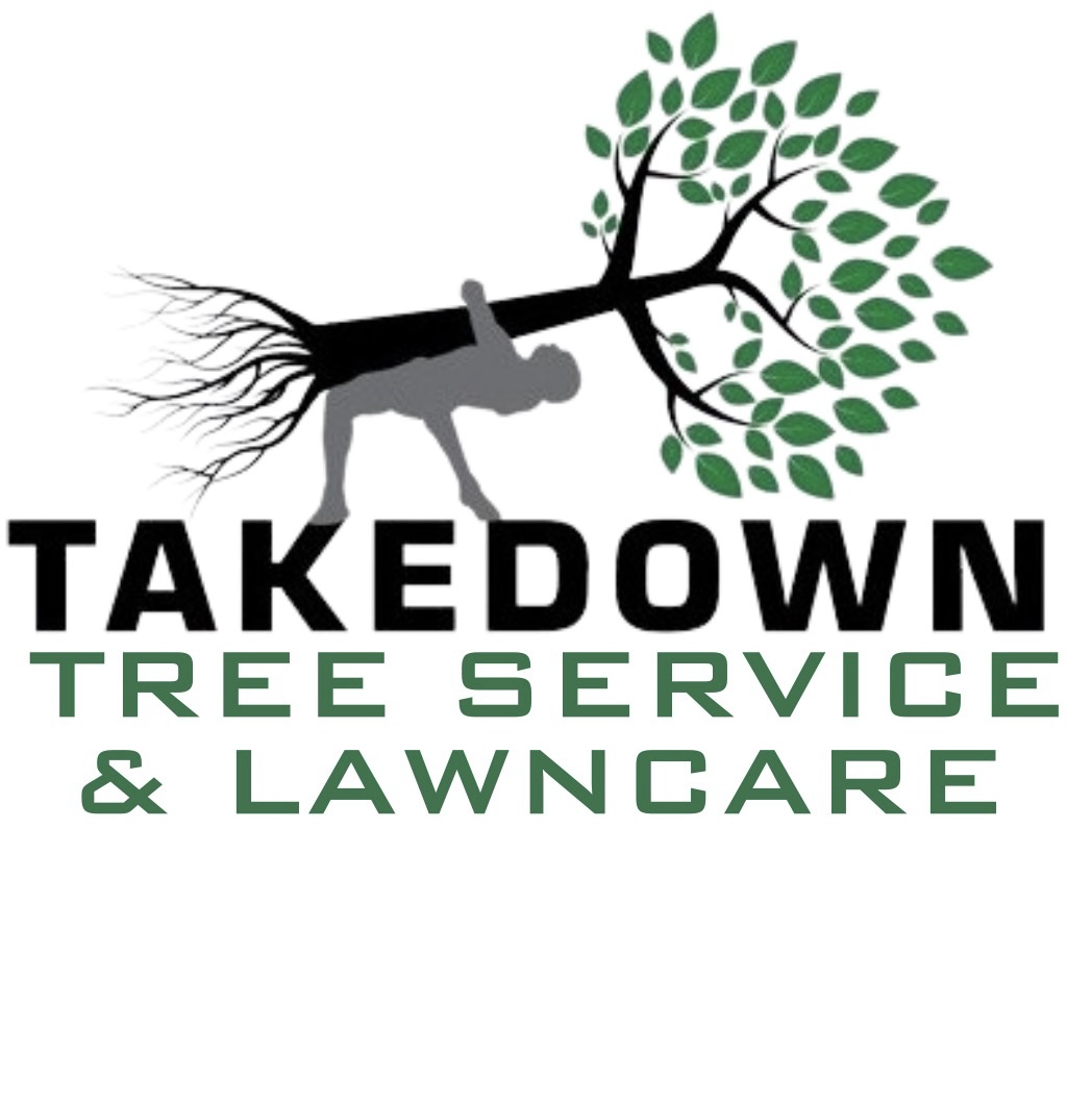 Avatar for Takedown Tree Service LLC