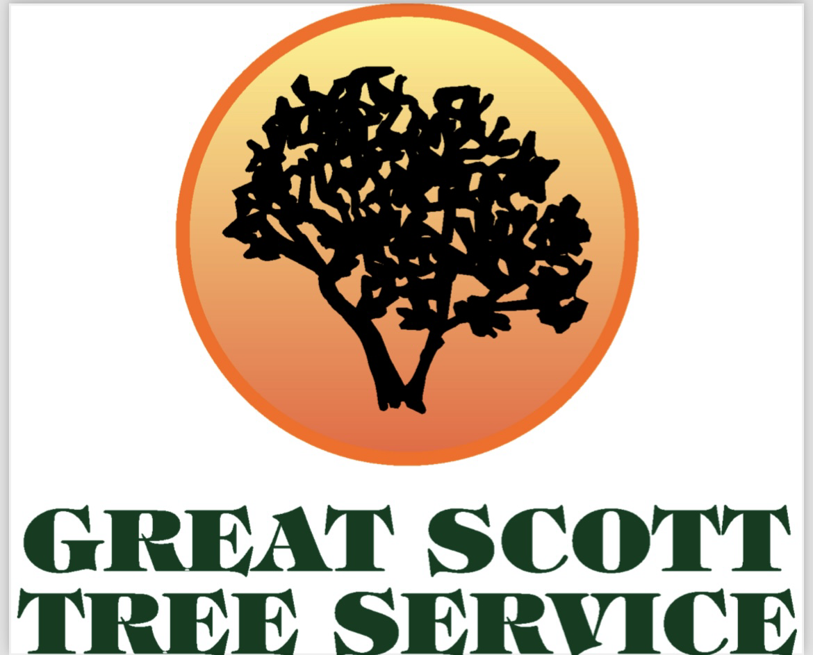 Avatar for Great Scott Tree Service