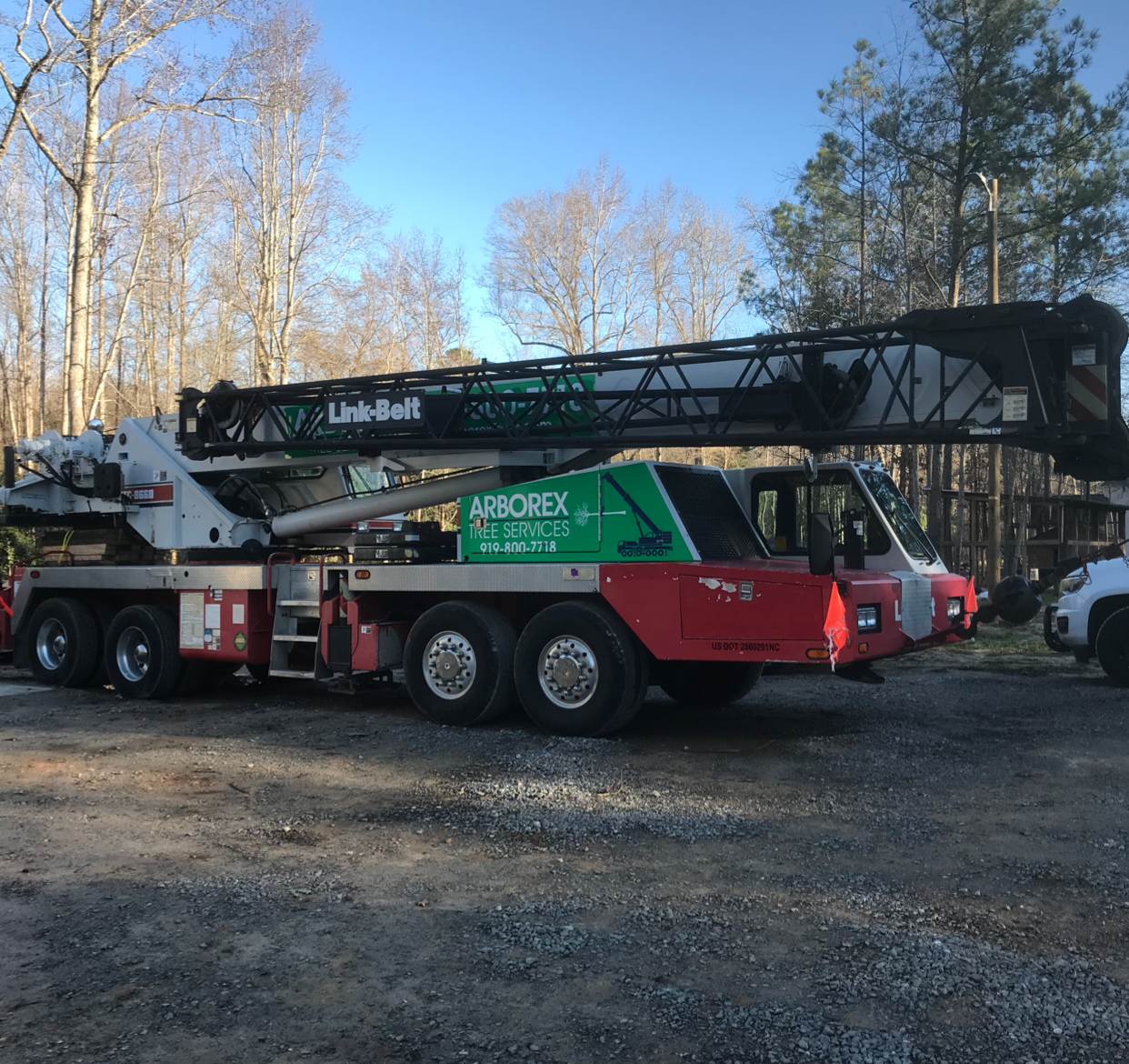Avatar for Arborex Tree Services