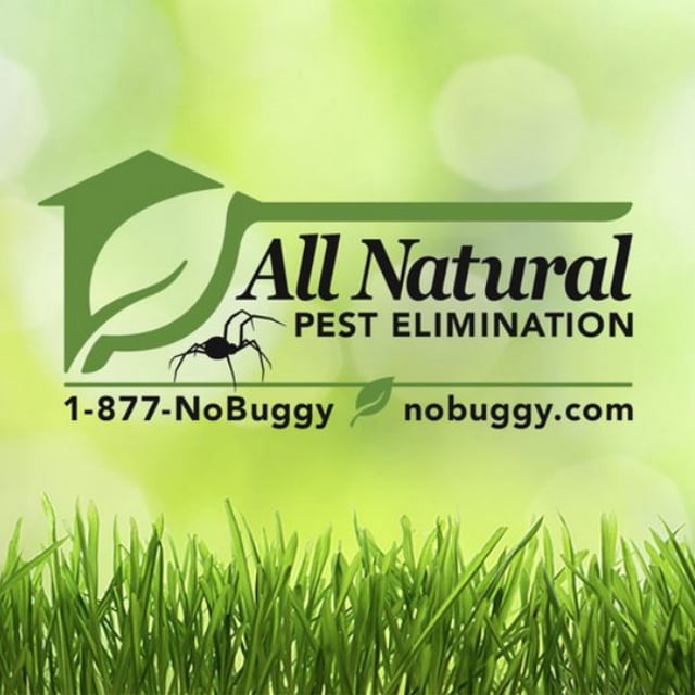 Avatar for All Natural Pest Elimination