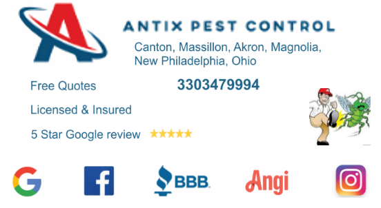 Avatar for Antix Pest & Termite Control