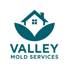 Logo for Valley Mold Services LLC