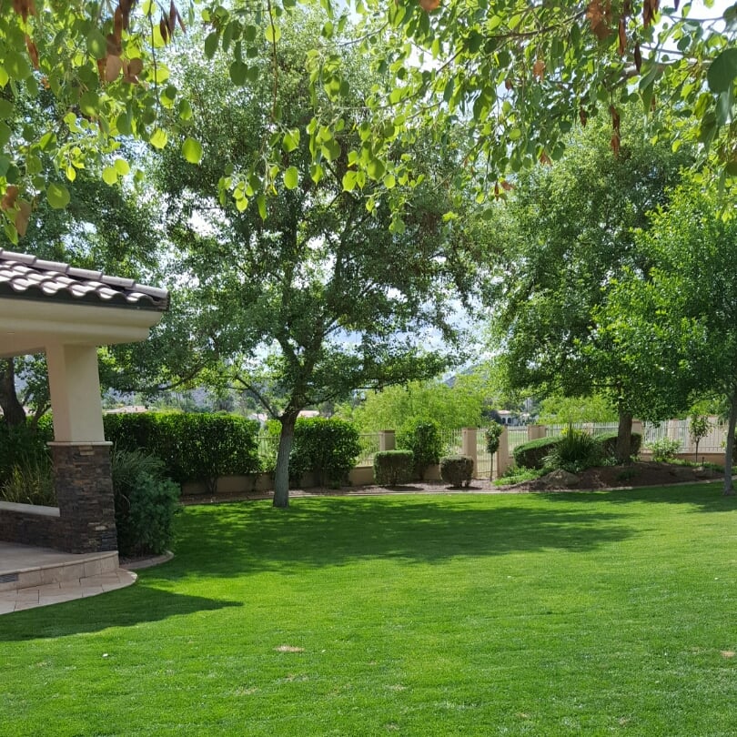 Avatar for ALBERTO'S LANDSCAPING