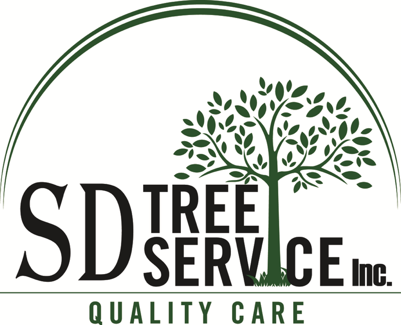 Avatar for SD Tree Service,Inc