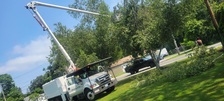 Avatar for Franco’s Tree service