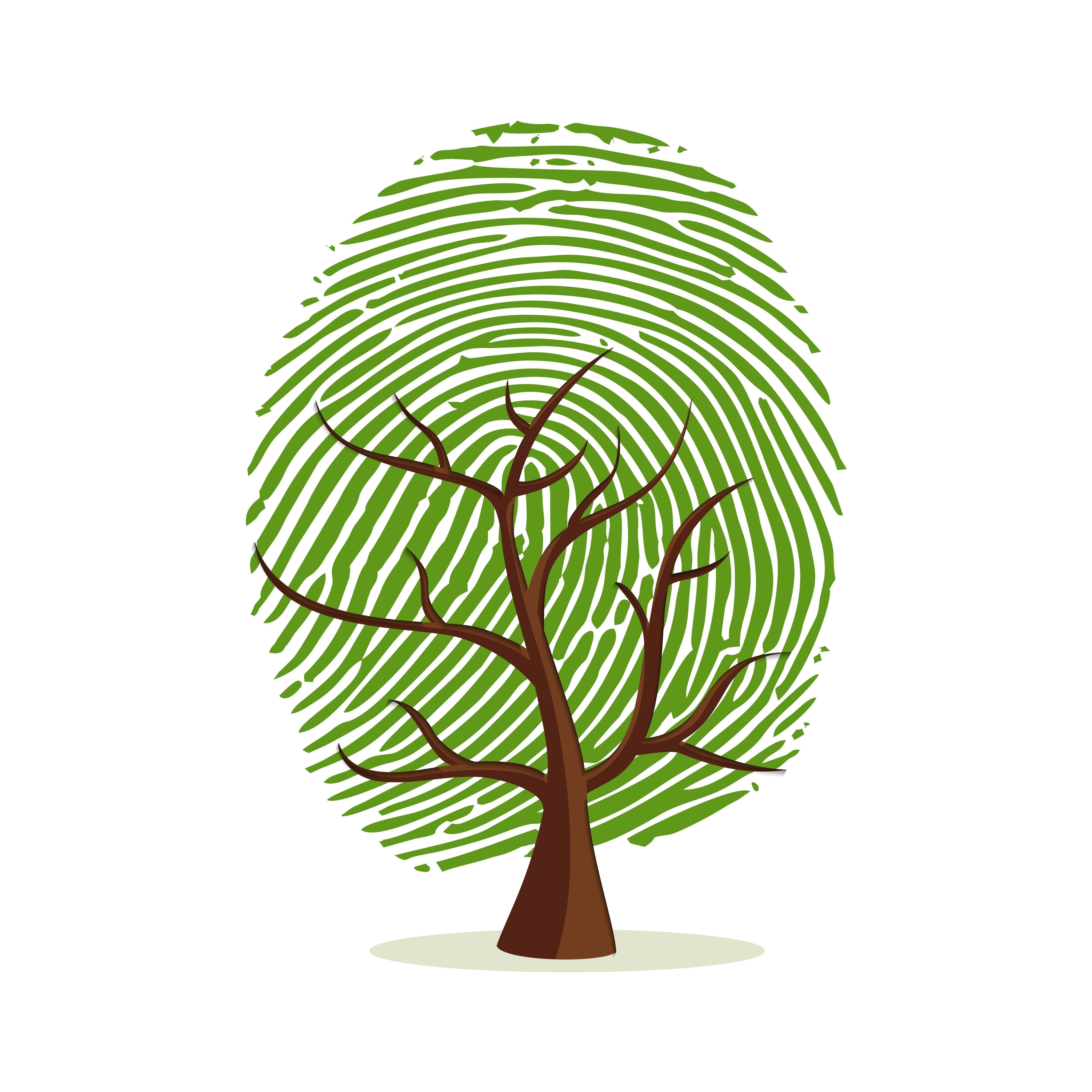 Avatar for Green Thumb tree care