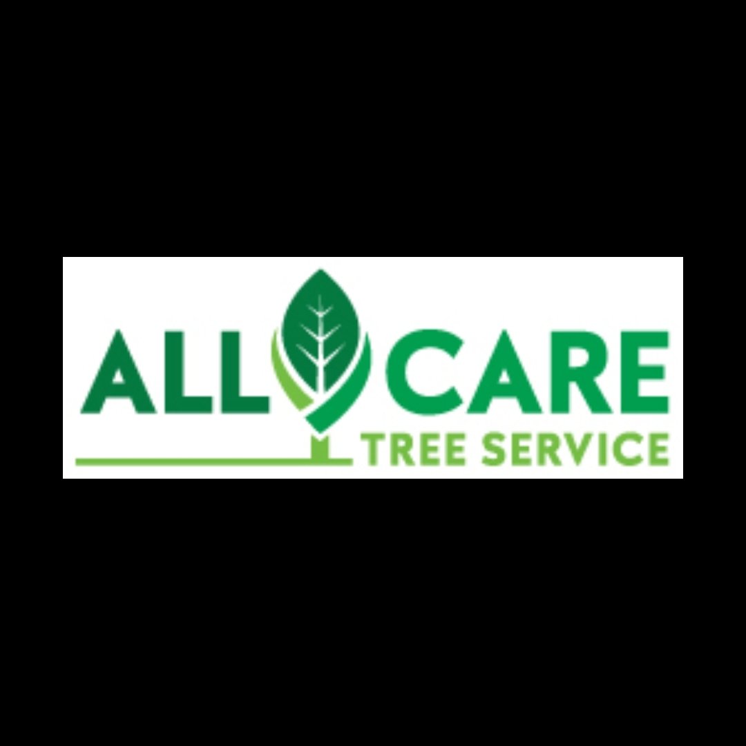 Avatar for All Care Tree Service