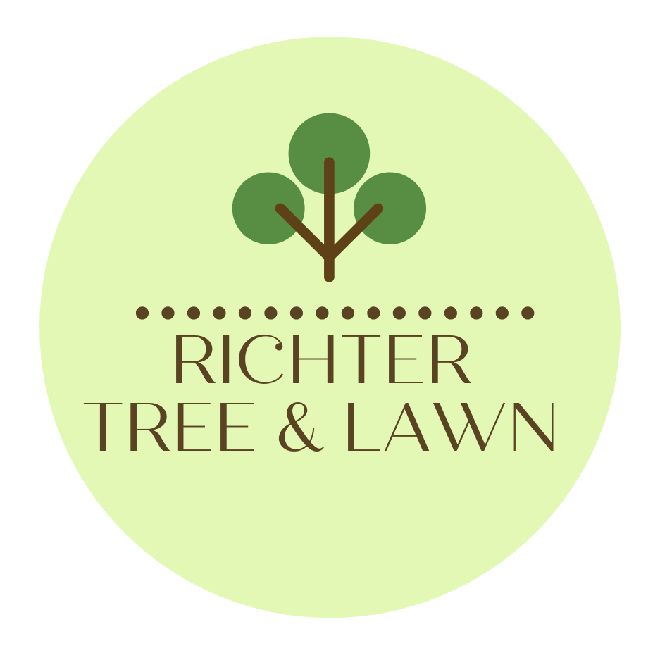 Avatar for Richter Tree and Lawn Service