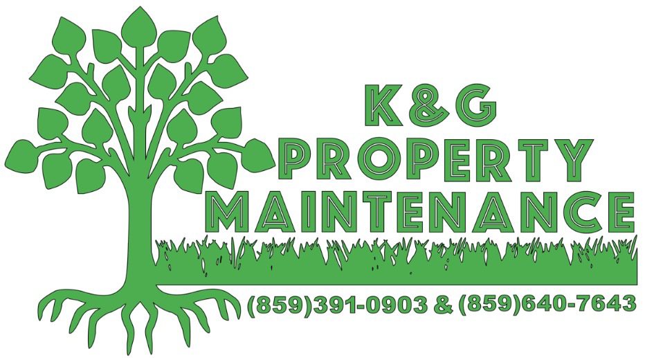 Avatar for K&G Tree Service
