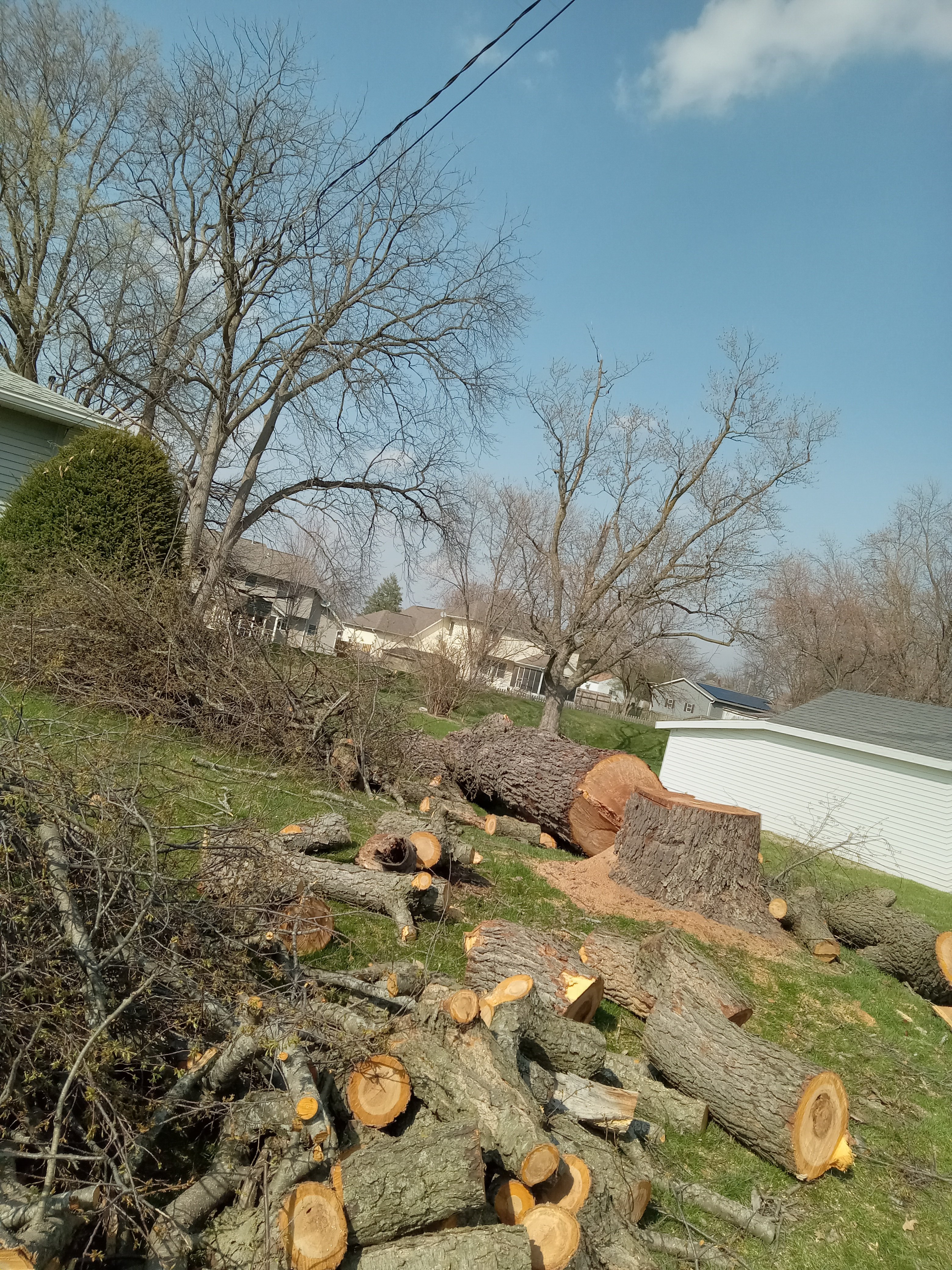 Avatar for Sizemore Tree Care