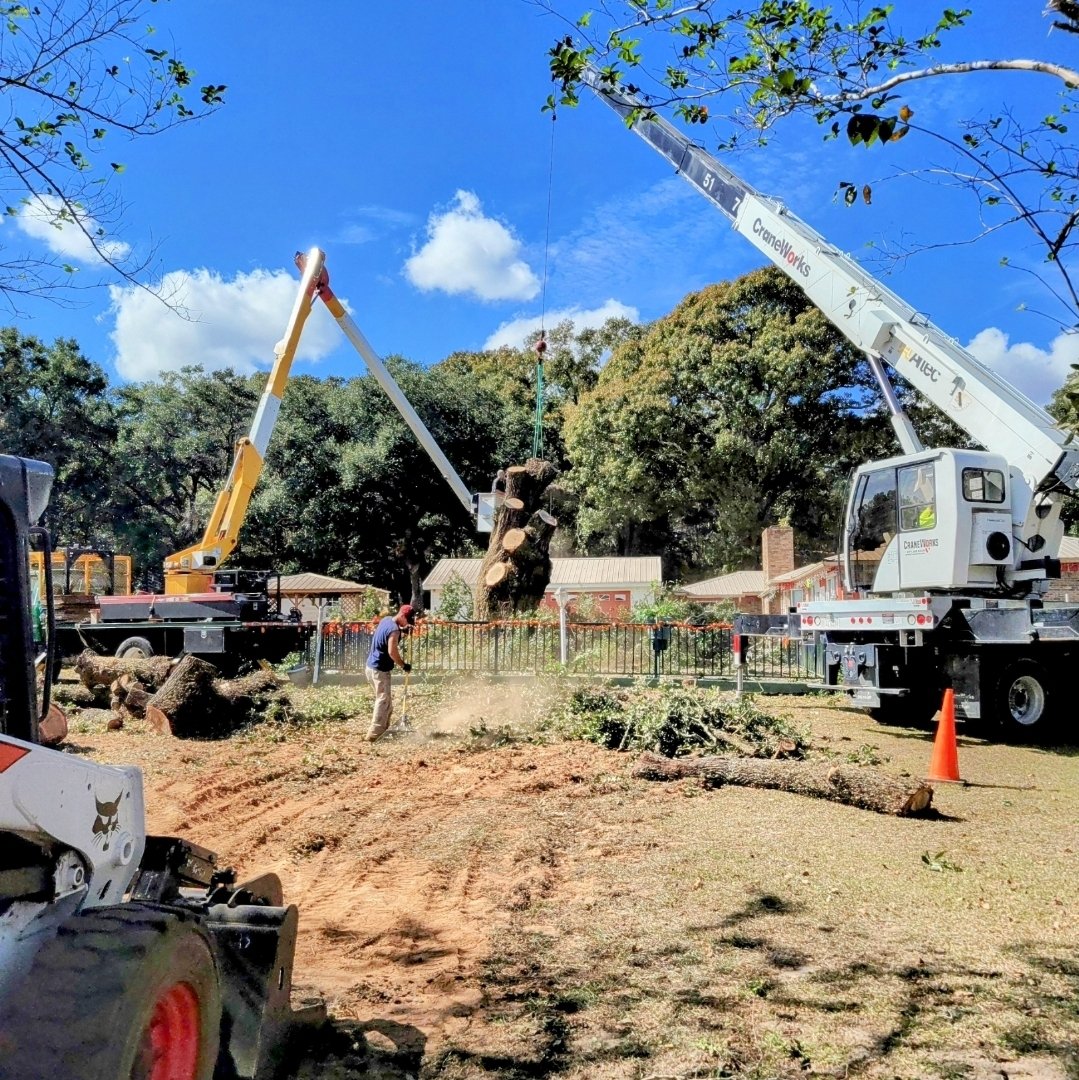 Avatar for Blake Harris Tree Service