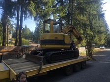 Avatar for PNW Treelancers, LLP