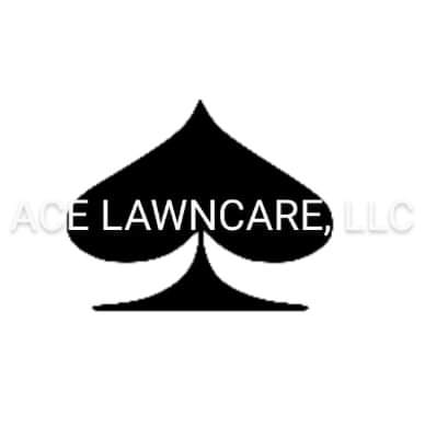 Avatar for Ace Lawncare, LLC