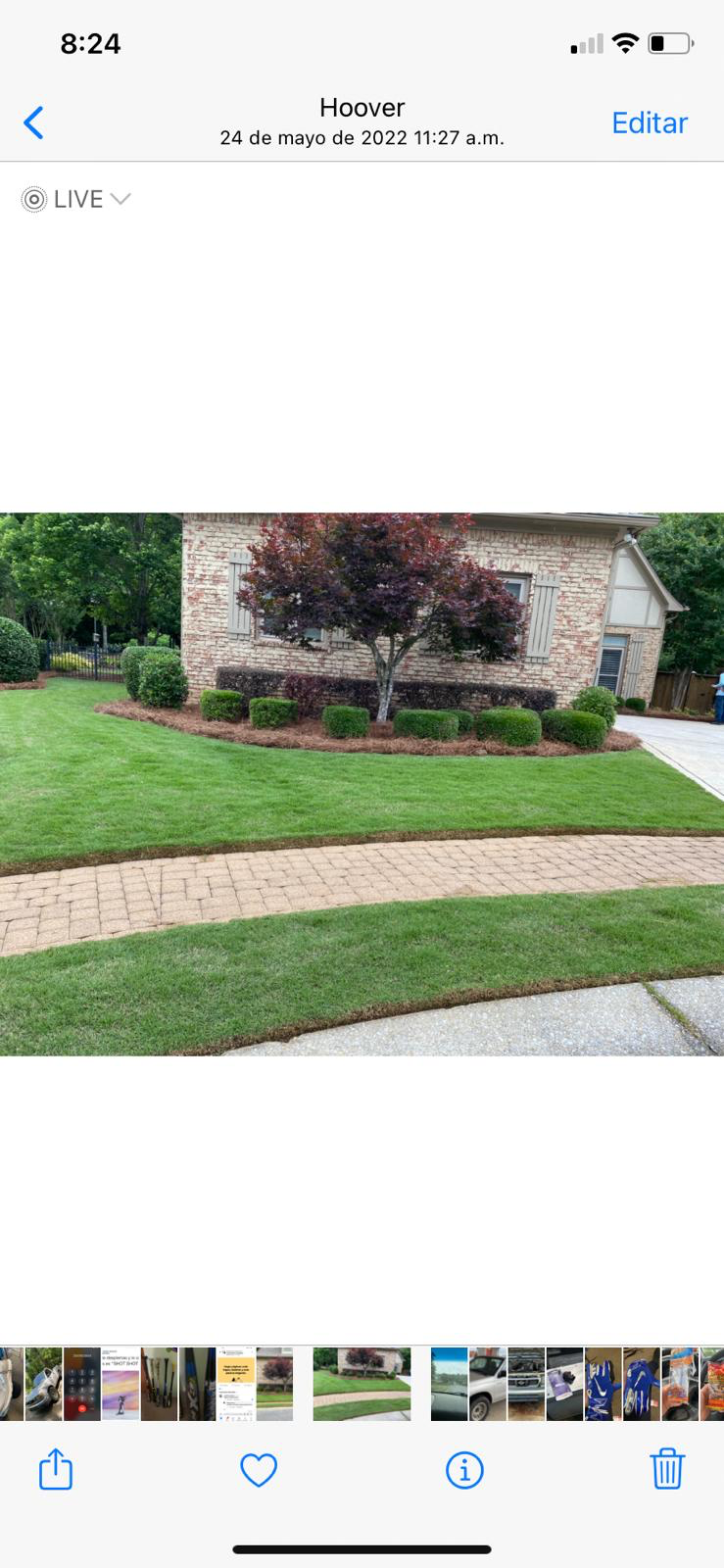 Avatar for Surecut Landscape