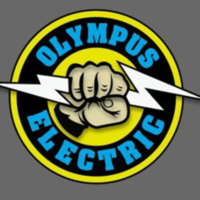 Avatar for Olympus Electric