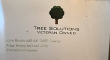 Avatar for Central-Mo Trees Solutions LLC