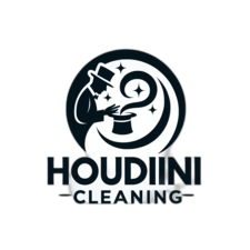 Avatar for Houdini cleaning