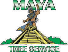 Avatar for Maya Tree Service