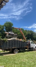 Logo for Daly Tree Service