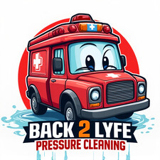 Avatar for Back To Lyfe Pressure Washing LLC