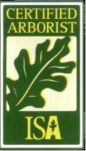 B.G. Tree Services logo
