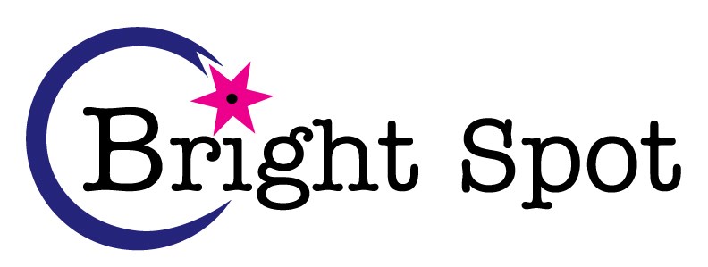 Bright Spot Painting logo