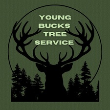 Logo for Young Bucks Tree Service