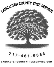 Avatar for Lancaster County Tree Service LLC