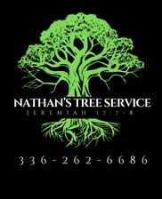 Avatar for Nathan's Tree Service & Land Development