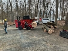 Avatar for Greater View Tree Service