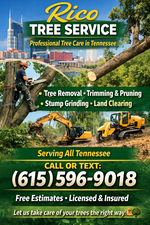 Avatar for Rico Tree Services