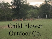 Avatar for Child Flower Outdoor Co.