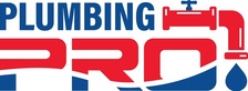 Avatar for PlumbingPro
