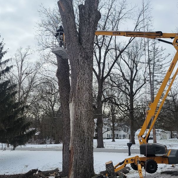 KEVIN'S TREE & LANDSCAPE SERVICE logo