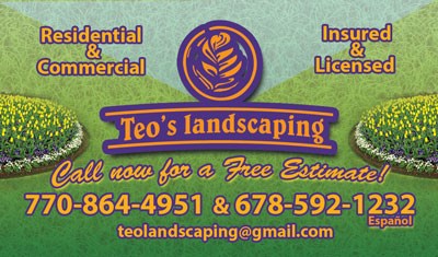 Teo's Landscaping LLC logo
