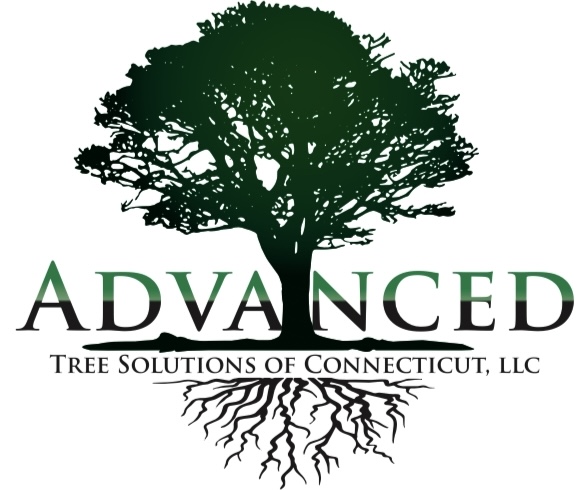Advanced Tree Solutions of Connecticut, LLC logo