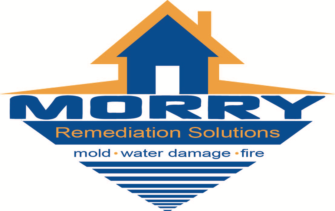 Morry Remediation Solutions logo