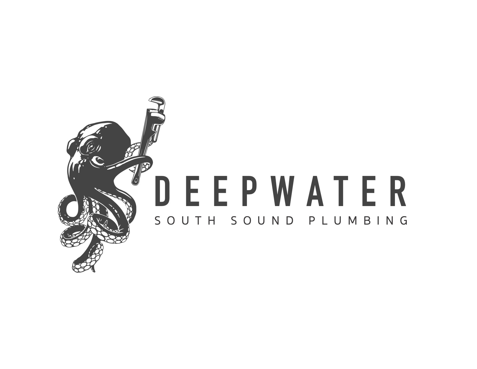 Logo for Deepwater Plumbing LLC