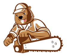 Avatar for Angry Beavers Tree Service Company, LLC