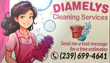 Avatar for Diamelys Cleaning Service