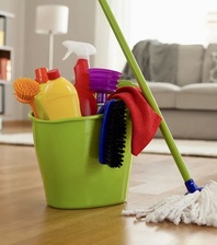 Avatar for Squeaky cleaning service