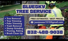 Avatar for Bluesky tree service