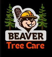 Avatar for Beaver Tree Care Inc