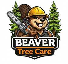 Avatar for Beaver Tree Care Inc