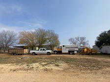 Avatar for South West Tree Care