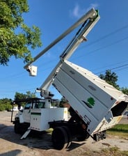 Avatar for C & B Tree Service
