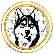 Avatar for The Pluto Standard