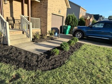 Avatar for Cameron's Lawn Care Services