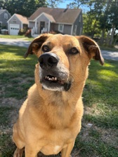 Avatar for B.E. Plumbing Heating and Cooling