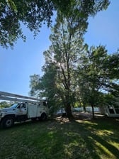Avatar for Pierce Lawn and Tree Service